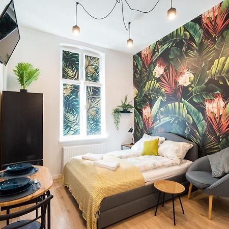 Homely, Little Studio, Top Location. Mala Kawalerka. Szczecin Kültér fotó